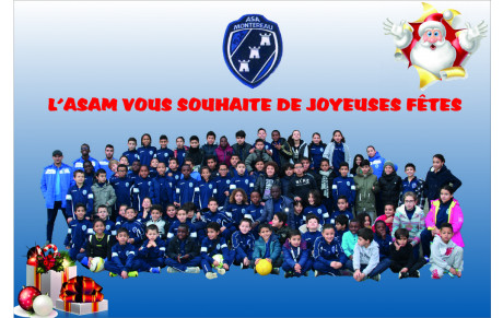 L'ASAM vous souhaite de joyeuses fêtes !