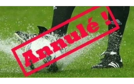 Annulation matchs U10/U11 ! 